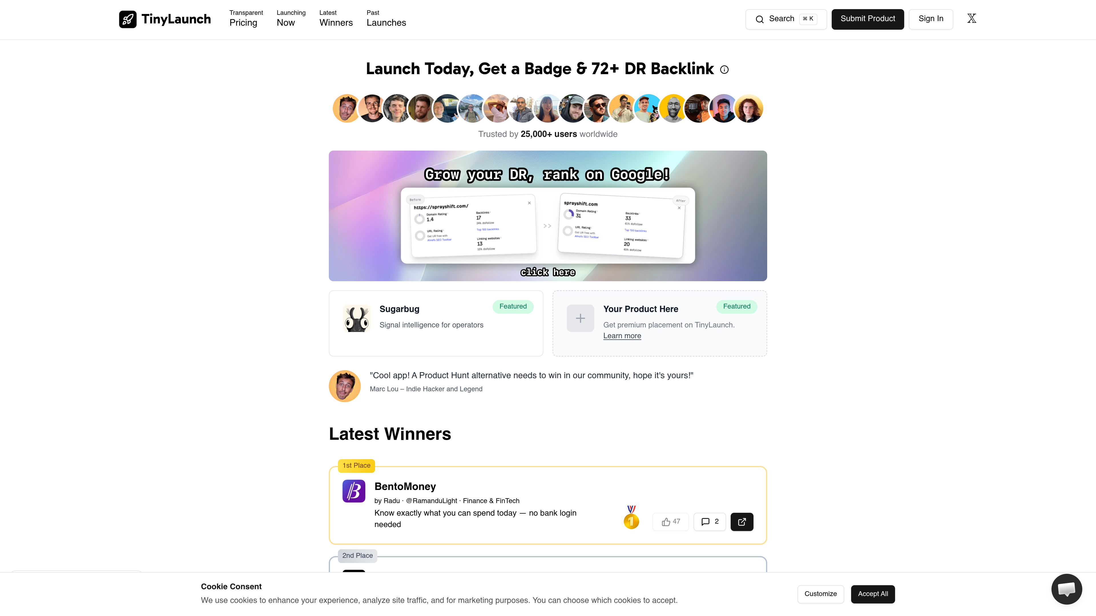 Tiny Launch website preview